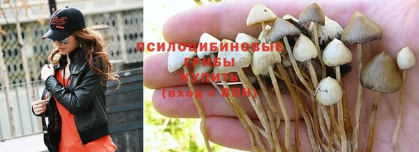 MDMA Premium VHQ Белокуриха