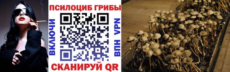 Псилоцибиновые грибы Magic Shrooms  наркотики  Семикаракорск 